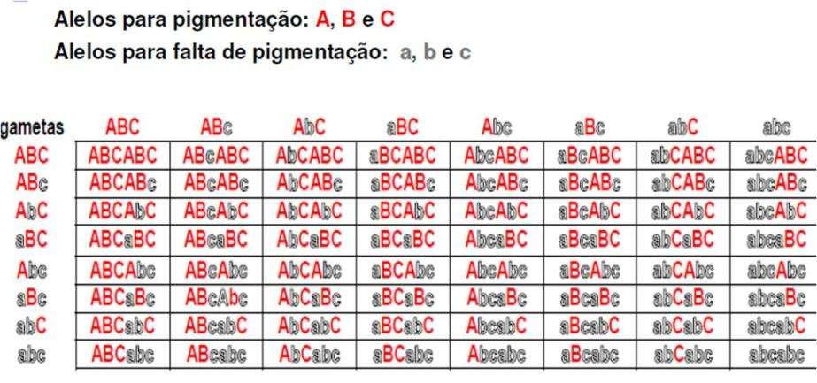 Distribuição