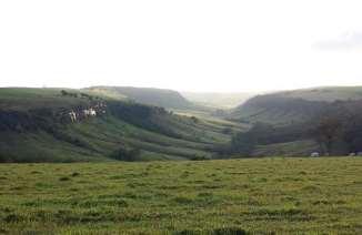 Lara (8) Vale no Cerrado das Cinzas (24 04' 55,3" S / 49 52' 09,6" W), onde se observa a formação de vale (Ribeirão do Norato) originado pela ação conjugada de intemperismo e erosão, (FIGURA 8).