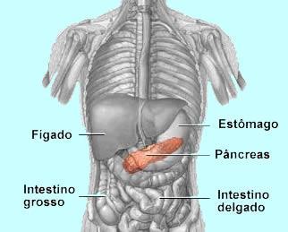 a) despolarizado. b) desmagnetizado. c) multidespolarizado. d) polarizado. Questão 8 (0,6)- Para que tenhamos a propagação de um impulso nervoso dependemos diretamente: a) encurtamento do dendrito.