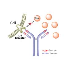 Tocilizumab (Antireceptor de IL-6) Canakinumab