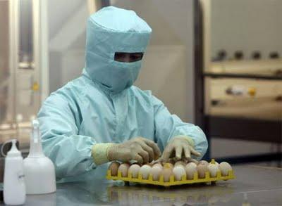 Influenza Produção Atual Ovos 6-12 meses 1 ou 2 ovos por