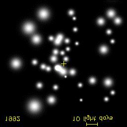 Estrelas movimentando-se com velocidades da ordem dos 1000 km/s a apenas
