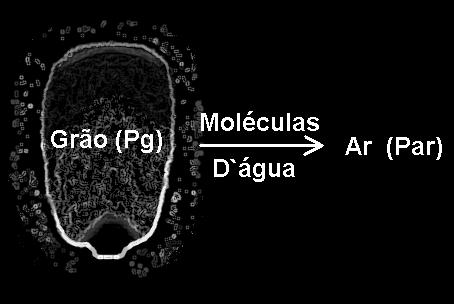 Princípios Princípio: Durante a secagem, a retirada da umidade é obtida pela movimentação da água, decorrente de uma diferença a de pressão de vapor d água d entre a superfície do produto a ser