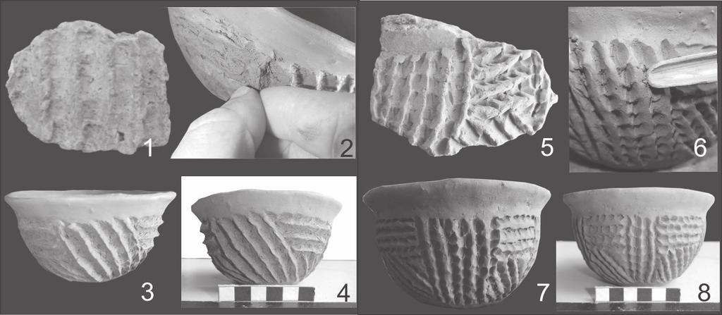 Tecnologia cerâmica Guarani e o estudo experimental da variabilidade cerâmica R. Museu Arq. Etn., 24: 53-75, 2014 Fig.