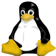 51 Vantagens do Linux: Muito bom para programar Certeza do que esta acontecendo Robusto para