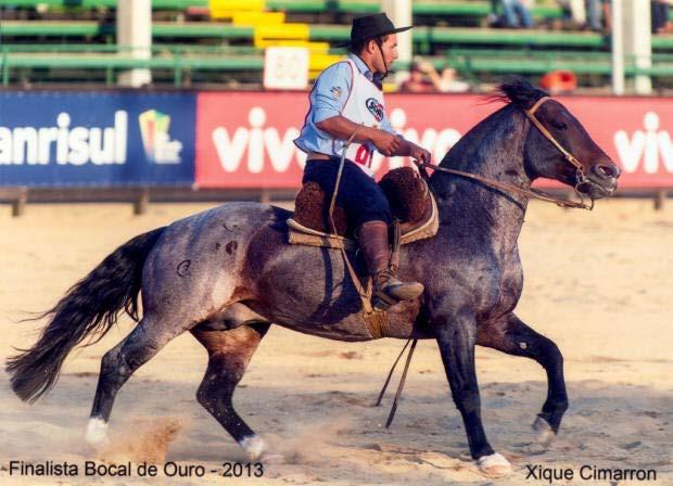 SÊMEN/MONTA 98 ique cimarron B173778 - RP: 240 - M - 12/09/2000 - Rosilha