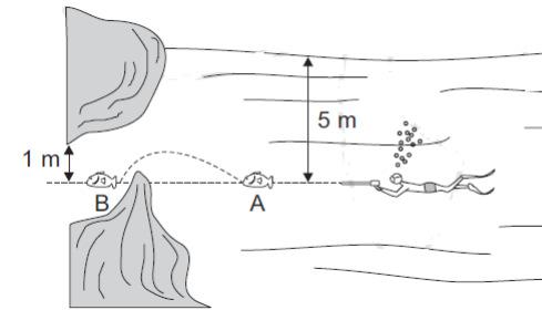 6) (Unicamp SP) Um mergulhador persegue um peixe a 5,0 m abaixo da superfície de um lago. O peixe foge da posição A e se esconde em uma gruta na posição B, conforme mostra a figura.