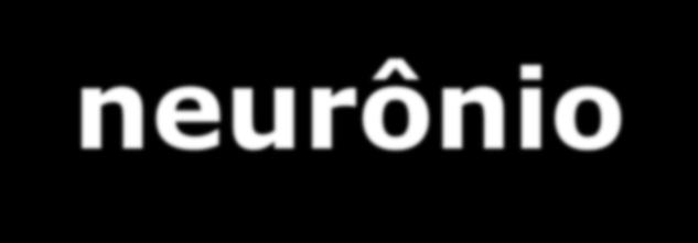 Fases: Transmissão de sinais em um neurônio Estímulo alteração da polaridade da célula (potencial de membrana em repouso) ativação de canais iônicos