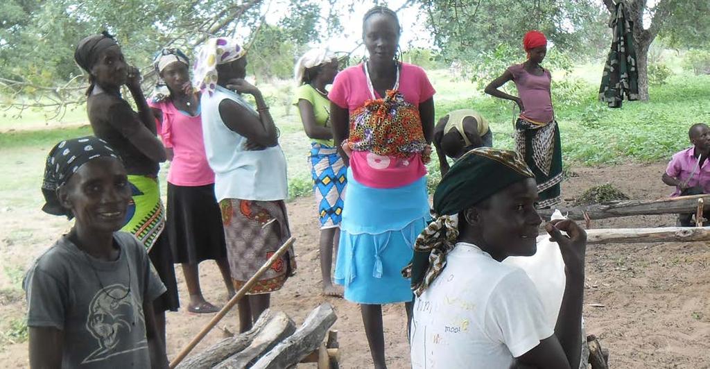 Este projecto beneficia mulheres organizadas em 10 Escolas de Campo para Agricultores localizadas no Município de Ombandja; Cada Escola de Campo é composta por 30 membros, fazendo um total de 300