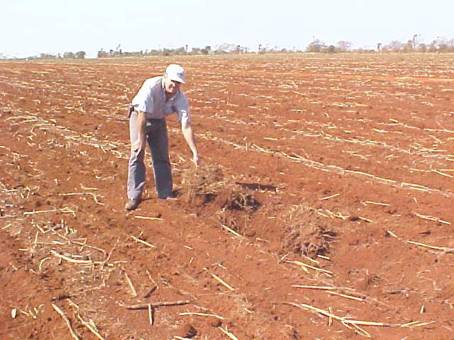 Cuidado falta de atenção pode