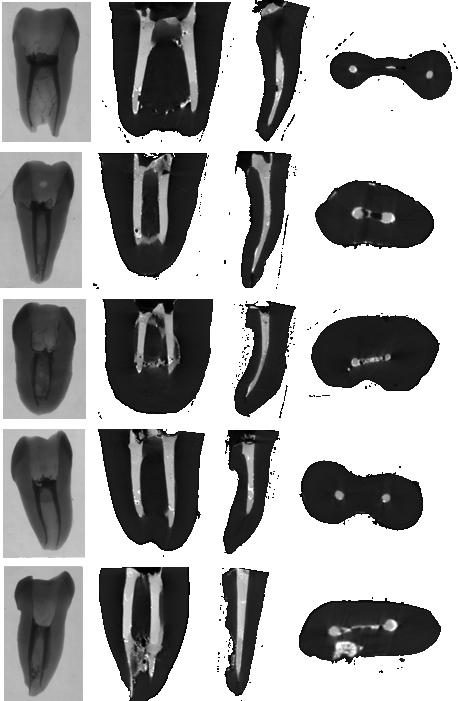 ANEXO IV - Amostra de Imagens de