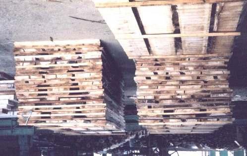 FIGURA 9A Exemplo de pila se madeira produzida no pátio da