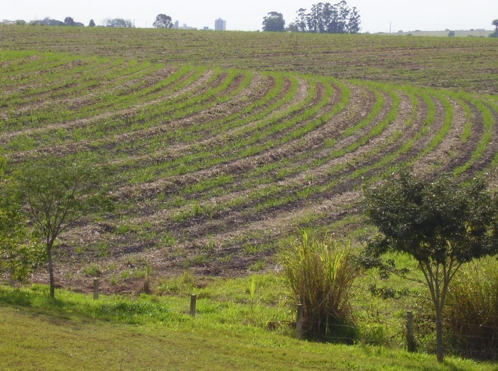 Figura: Blocos em experimentação no campo Estatística Experimental 5 de Outubro de 2016 7 / 20 DBC