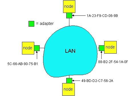 Endereços de LAN e ARP Cada adaptador