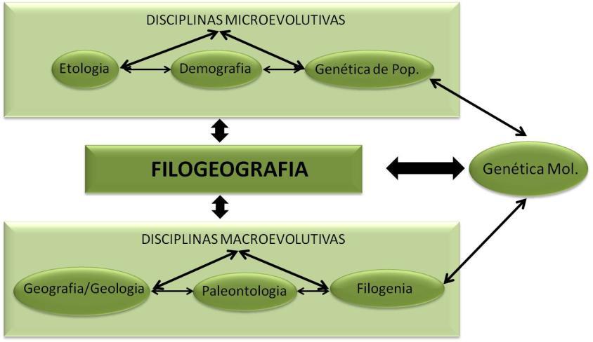 20 diversidade e endemismo tem crescido de forma exponencial (eg., Ramos et al., 20