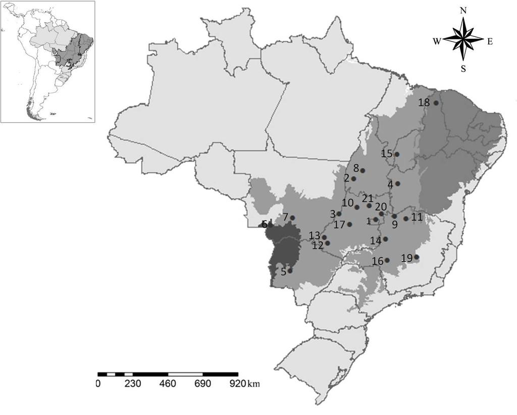 32 Figura 11. Distribuição das coletas de T.aurea ao longo da Caatinga, Cerrado e Pantanal. Os pontos indicam as localidades onde foram feitas as coletas para o presente trabalho.