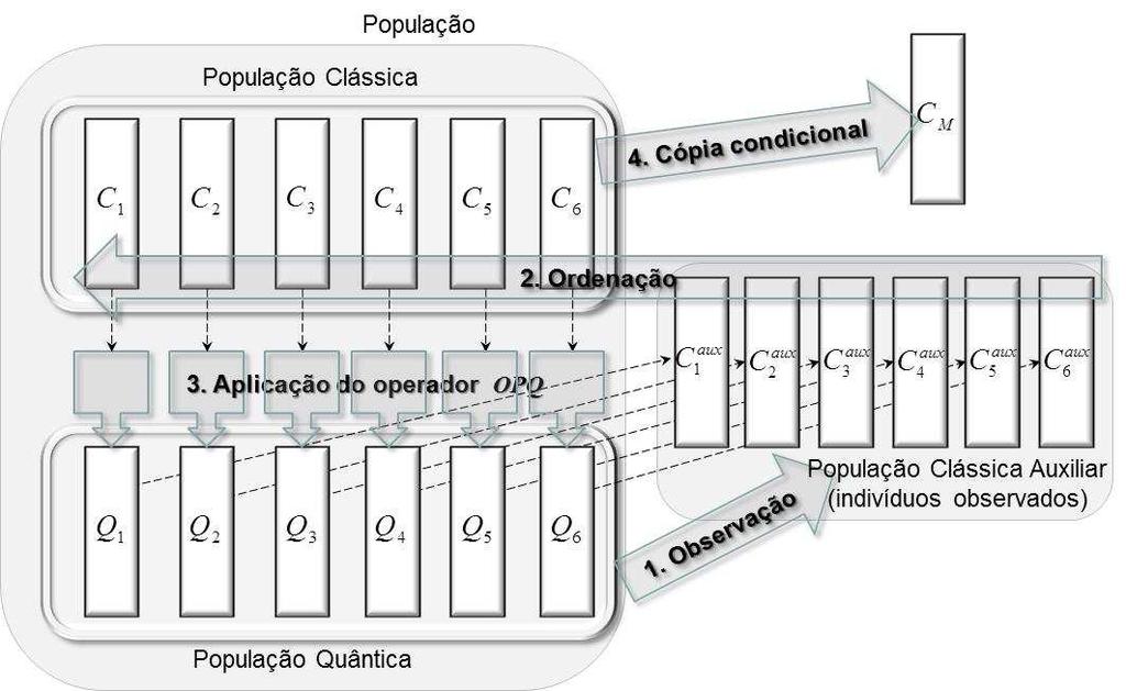 Modelo Proposto 70 Figura 16 Ciclo de uma geração da PGLOGIQ A evolução ocorre através da observação dos indivíduos quânticos, avaliação e comparação dos indivíduos clássicos e aplicação do operador