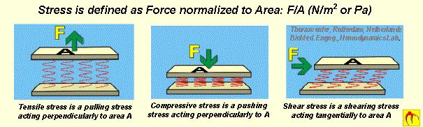 STRESS, CISALHAMENTO OU CORTE Força produtora da deformação F A stress Unidades: 1 pascal = 1
