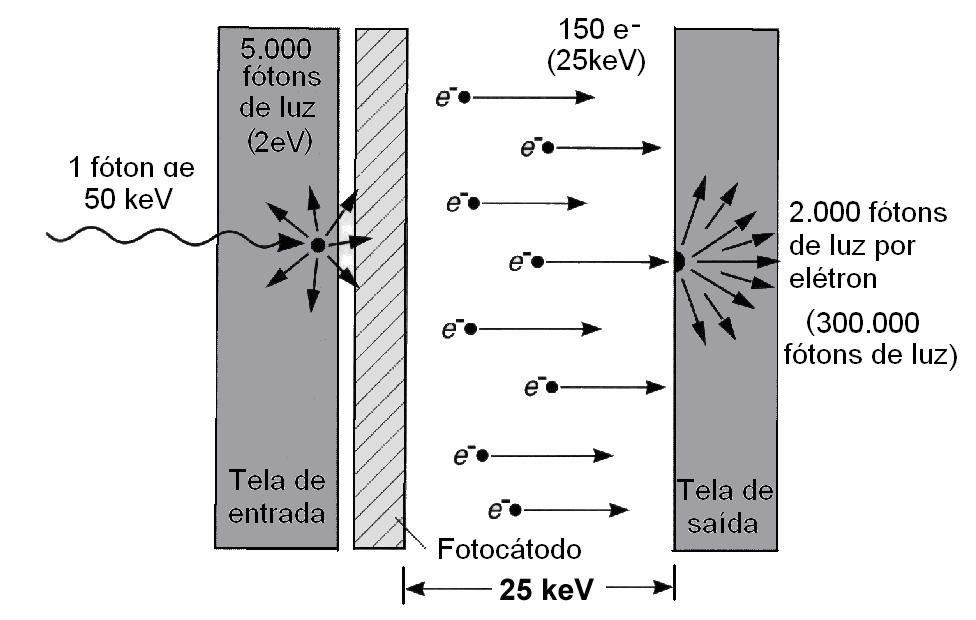 49 Figura 14 Processo de amplificação do sinal em um TII. Uma característica importante que deve ser considerada é a eficiência do TII em transformar raios X em luz.