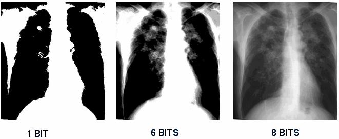Por exemplo, quando se define que para cada pixel será disponibilizado apenas um bit (binary digit) de possibilidades, está-se dizendo que será possível apenas dois tons de cinza por pixel, ou seja,