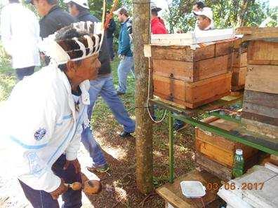 Tiveram a oportunidade de expor sua relação e conhecimentos tradicionais (ecológicos, medicinais e espirituais) com as espécies de abelha sem ferrão.