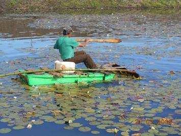 Outras Atividades do Subprograma de Agricultura Piscicultura Em continuidade ao acompanhamento no manejo (alimentação, controle de qualidade de água e biometria) dos peixes (pacus e tilápias) nos