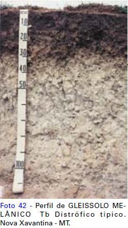 solo não tiver horizontes B e C ou b) espessura 18cm para solos com espessura < 75cm ou c) espessura 25cm para solos com espessura