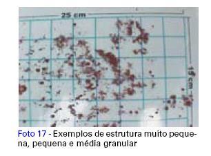 Granular - as partículas