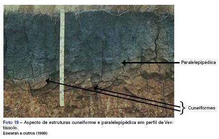 Cuneiforme e paralelepipédica estruturas formadas por ação mecânica de cunhas (preenchimento das fendas originadas pela expansão/contração de argilas, por sedimentos).