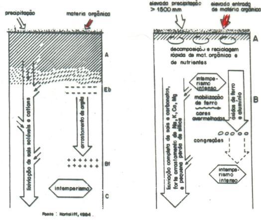 Laterização - característico de regiões de clima tropical e intertropical