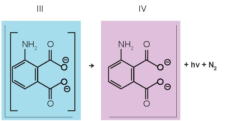 É proposto que, na reaão do luminol (I) em meio alcalino, na presença e peróxido de hidrogênio (II) e de um metal de ransição (Mn + ), forma-se o composto 3-amino talato (III) que sofre uma relaxação