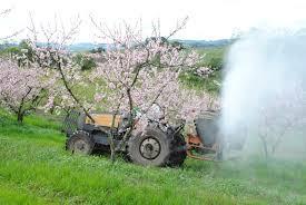 Software para a Agricultura - Fruticultura Controlo técnico e gestão