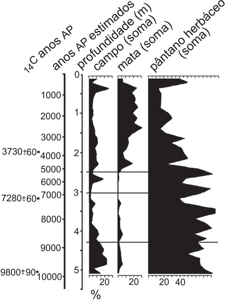 Figura 4 Diagramas do somatório de pólen dos táxons de campo, mata e pântano em porcentagem, Serra Velha, Brochier, RS, perfil sedimentar de mata paludosa semidecídua (29º36 22 S, 51º38 55 W).