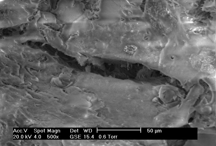 Figura 28 Micrografia obtida por MEV da superfície de fratura da composição com 30% de granito 