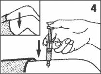Certifique-se de que o êmbolo se encontra completamente dentro da seringa. Mantendo a agulha no líquido, volte a encher a seringa com toda a solução.
