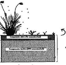Redução do banco de sementes pré-existente ( recrutamento ) : componente ativo componente inativo Preparo de solo sucessivos (gradeações) Enterrio das sementes (arado de aiveca) Aplicação de