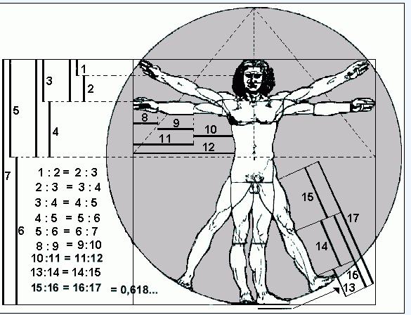 Número de Fibonacci: - O Homem