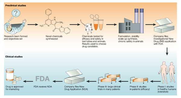 Etapas Nature Reviews Drug