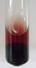 REAÇÕES DE IDENTIFICAÇÃO Reação de Shinoda Colocar cerca de 2 ml do extrato alcoólico em um tubo de ensaio e adicionar mais ou menos seis