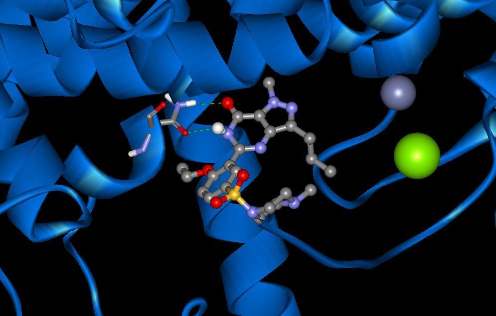 A estrutura 3D dos biorreceptores Ligação ão- 3 C S C 3 C 3 C 3 Interações do