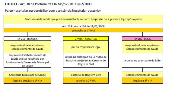 Ministério da Saúde Fluxos das dn Secretaria