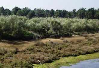 (PIER), a revisão da Reserva Ecológica Nacional (REN) e da Reserva Agrícola Nacional (RAN), a revisão e