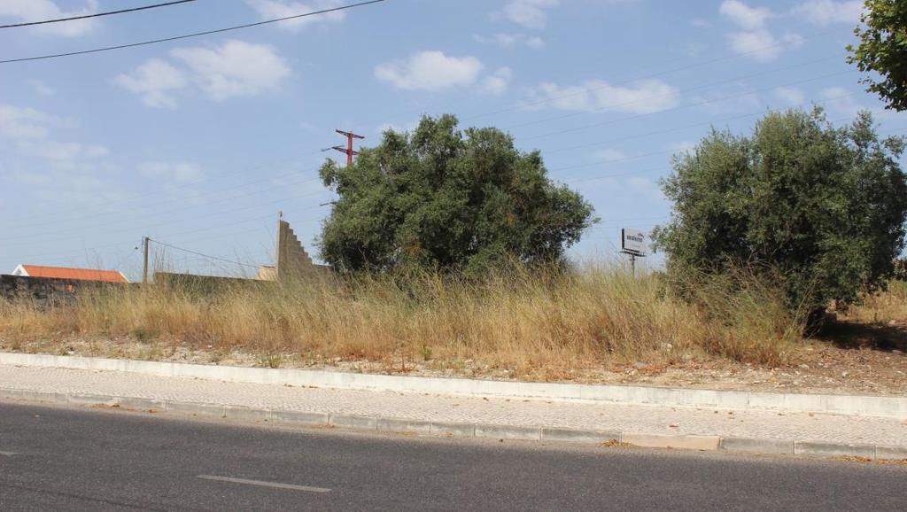 06 Vista orientada a sul No terreno encontram-se ainda duas Oliveiras que deverão ser mantidas, dada a idade e a memória que