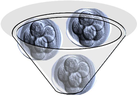 INTRODUÇÃO Expressão do genoma embrionário: maior potencial de implantação Laboratórios