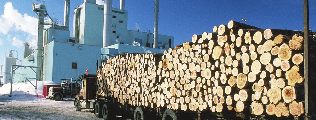 NOTÍCIAS - DESEMPENHO DO Os principais fatores que influenciam o mercado de madeira sólida no Brasil Já estamos em março de 2018 e o setor florestal continua sem respostas concretas para algumas das