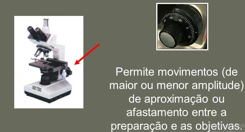 Microscopias ópticas