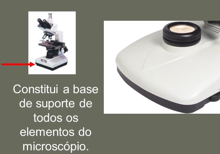 Microscopias