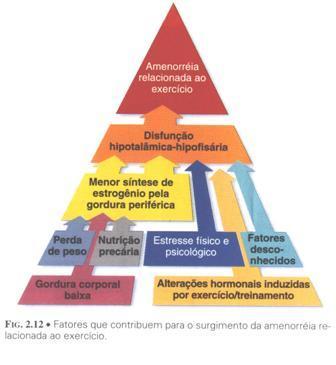 AVALIAÇÃO DA COMPOSIÇÃO CORPORAL