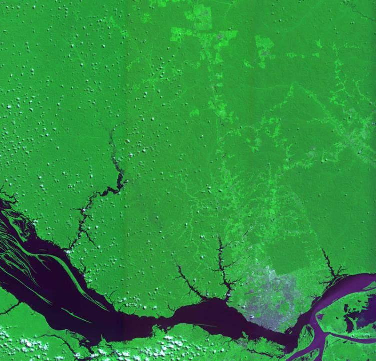 Figura 3- Sensor: CCD/CBERS-2 Composição: R3G4B2 Nesta composição, Manaus aparece próxima aos Rios Negro (em preto) e Solimões (pequeno trecho ao Sul de Manaus em tons arroxeados), e ao Rio