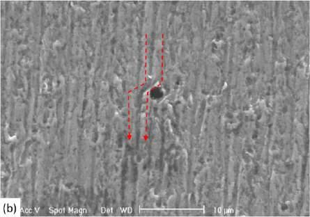 Corroborando com esta afirmação, na Figura 5.63 é possível ver como pequenas inclusões presentes no material podem desviar a trajetória do abrasivo, melhorando a resistência ao desgaste. Figura 5.63 Trilha formada pelo abrasivo sendo desviada pela presença inclusão no aço 16CrNb (a) BSE e as mesmas regiões (b) SE.